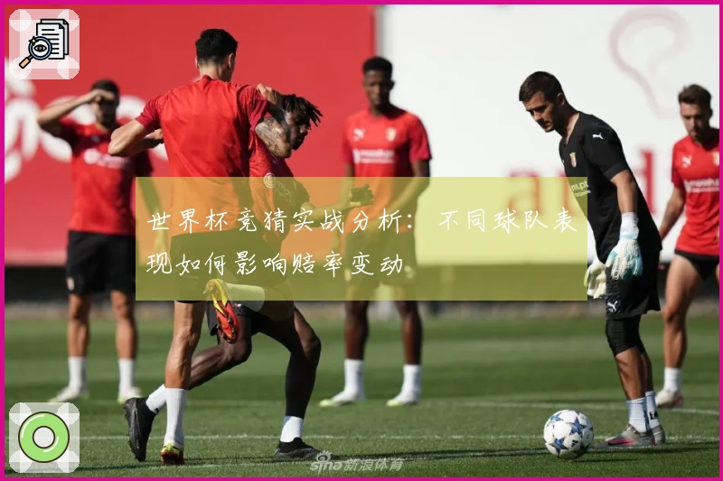 世界杯竞猜实战分析：不同球队表现如何影响赔率变动
