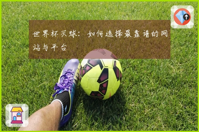 世界杯买球：如何选择最靠谱的网站与平台