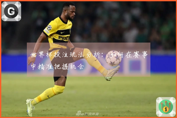 世界杯投注玩法分析：如何在赛事中精准把握机会