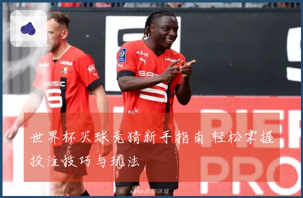 世界杯买球竞猜新手指南 轻松掌握投注技巧与玩法