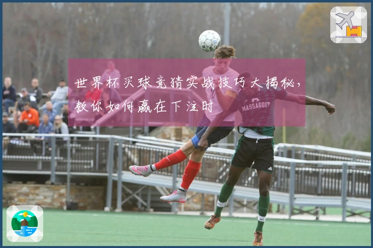 世界杯买球竞猜实战技巧大揭秘，教你如何赢在下注时
