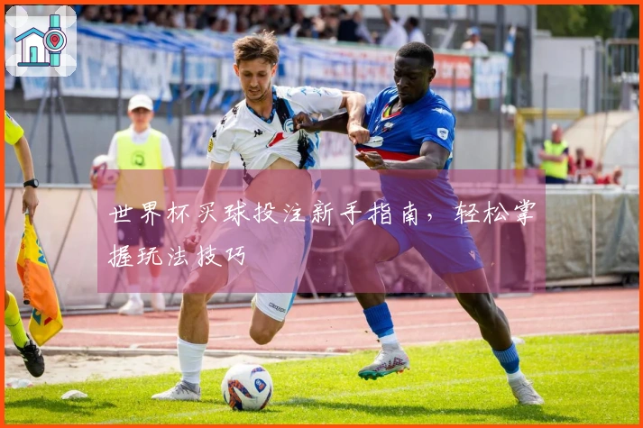世界杯买球投注新手指南，轻松掌握玩法技巧