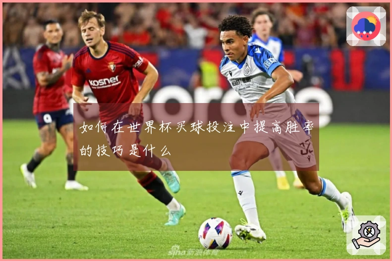 如何在世界杯买球投注中提高胜率的技巧是什么