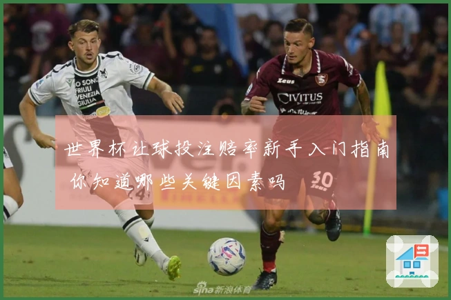 世界杯让球投注赔率新手入门指南 你知道哪些关键因素吗