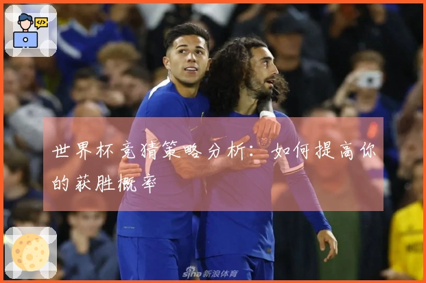 世界杯竞猜策略分析：如何提高你的获胜概率