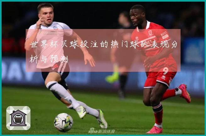 世界杯买球投注的热门球队表现分析与预测