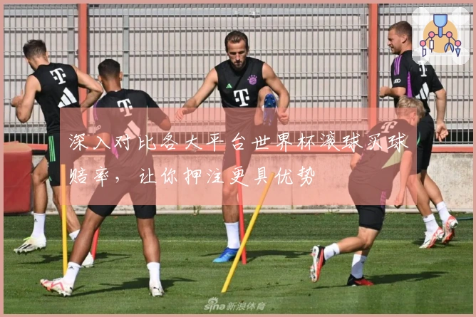 深入对比各大平台世界杯滚球买球赔率，让你押注更具优势