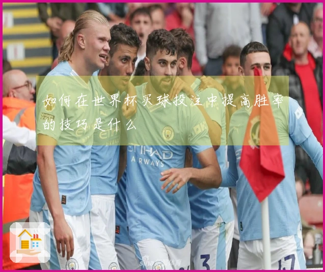 如何在世界杯买球投注中提高胜率的技巧是什么